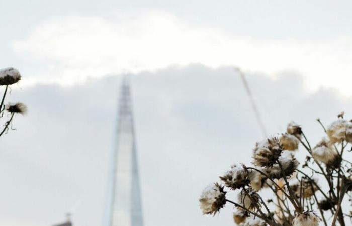 La neve a novembre è un segnale preoccupante? Cosa devi sapere