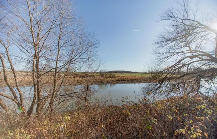 Elegante cottage confinante con uno specchio d’acqua in uno sfondo di tranquillità rurale