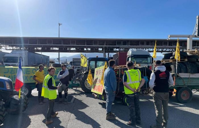 [EN DIRECT] La frontiera franco-spagnola bloccata dagli agricoltori