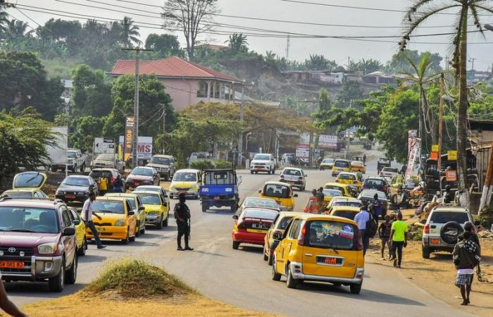 Camerun: i prezzi di mercato esplodono a Buea nella zona anglofona – SOCIÉTÉ