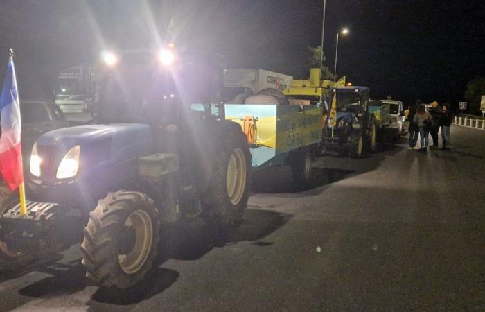 DIRETTO. Rabbia degli agricoltori: il corteo di Béziers prevede grandi blocchi sull'autostrada… segui la giornata di mobilitazione