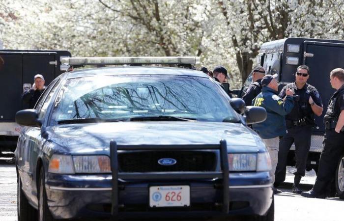 Cane pazzo uccide una donna e ferisce tre persone tra cui due agenti di polizia a Boston