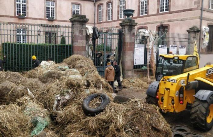 VIDEO. La rabbia dei contadini: immersi nella colonna di trattori che convergeva su Rodez per “ridipingere” la prefettura