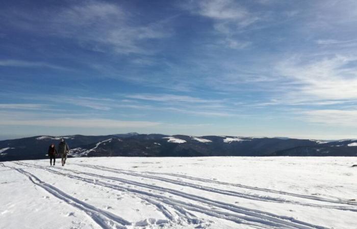 Questa settimana sono previste decine di centimetri di neve