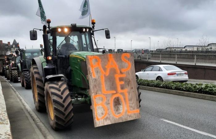 Il Coordinamento rurale è pronto a inasprire i toni di fronte ai blocchi in Charente – Angers Info