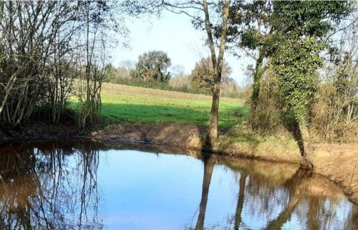 Chemillé-en-Anjou. Il laghetto restaurato della fattoria di Pontreau