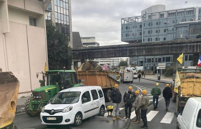 dopo il letame scaricato a Pessac, i manifestanti prendono il controllo di Bordeaux