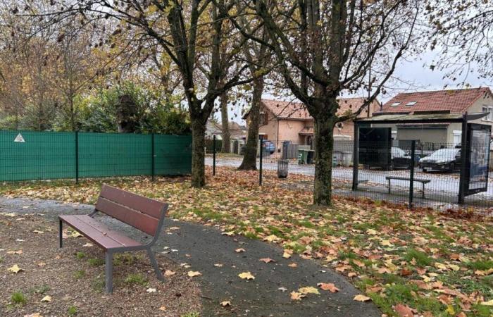 Una donna è stata violentemente aggredita e mutilata domenica notte a Châlons