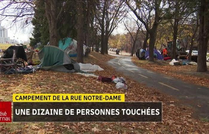 Senzatetto: giovedì smantellamento dell’accampamento di Notre-Dame Street