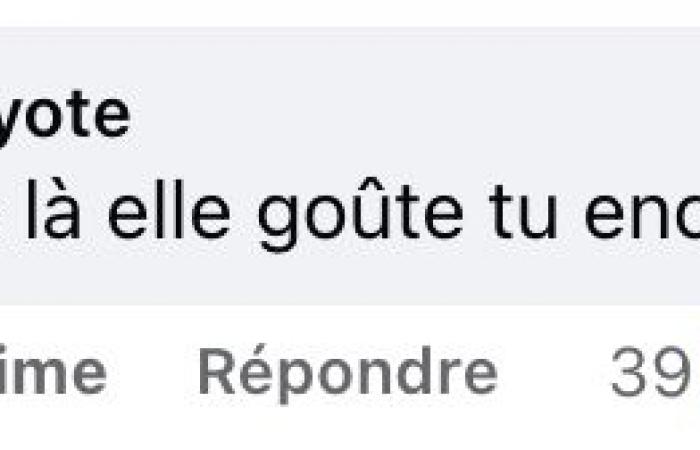 Il prezzo del registro delle vacanze Vachon ha provocato una forte reazione nella popolazione del Quebec