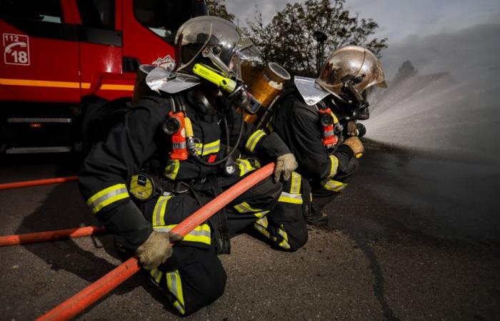 Vicino ad Ancenis, una donna di 69 anni muore in un incendio in una casa