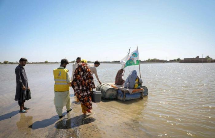 Cambiamenti climatici: una guida VaccinesWork