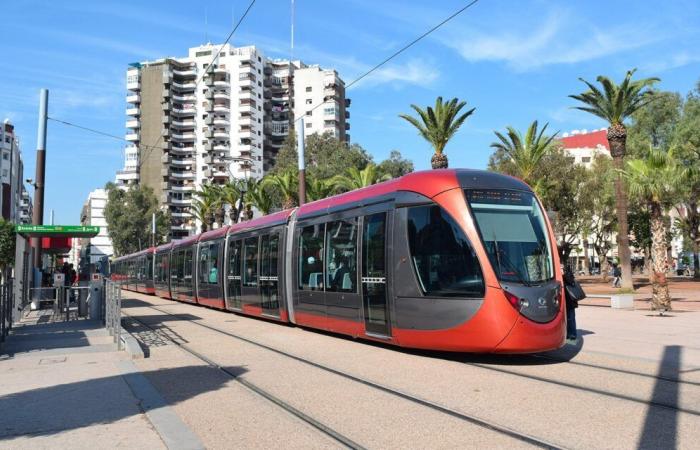 Il Marocco traccia la sua strada verso l’eccellenza