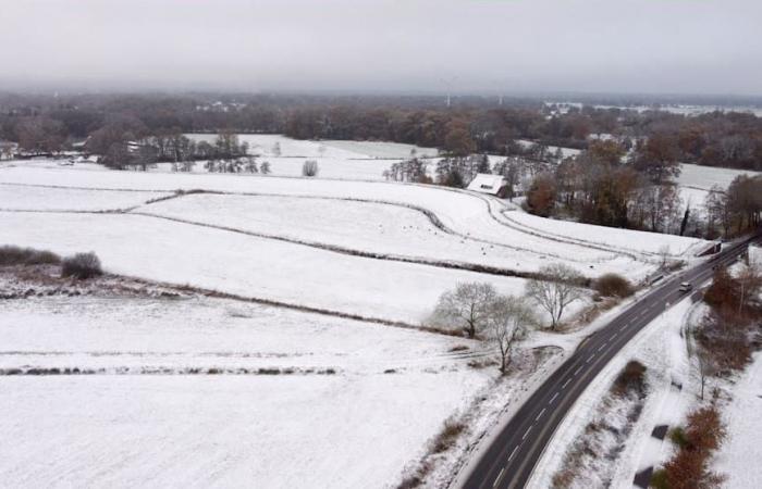 Meteo: ora è arrivato l’inverno! Così continua con neve, tempeste e ghiaccio nero | Notizia