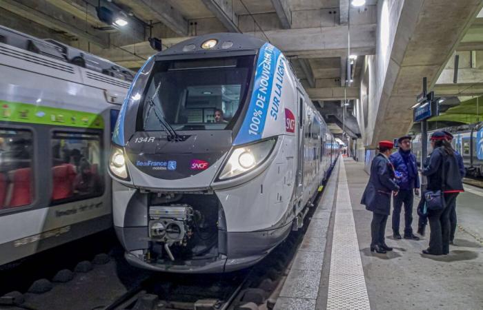 Giovedì il traffico della Transilien è stato interrotto, soprattutto la RER B e D