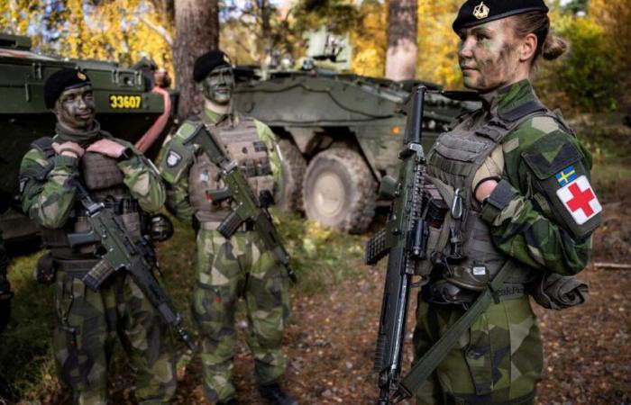 “La situazione è grave”: Svezia e Finlandia incoraggiano i propri residenti a prepararsi per una possibile guerra