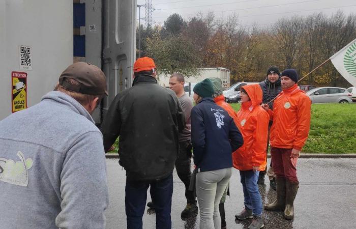 Oise. Gli agricoltori controllano i camion sulle autostrade e controllano l’origine dei prodotti agroalimentari