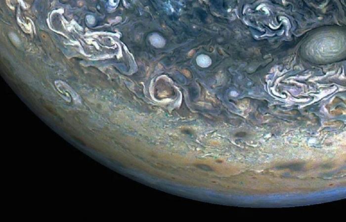 La sonda Juno della NASA cattura l'immagine di un delfino sulla superficie di Giove