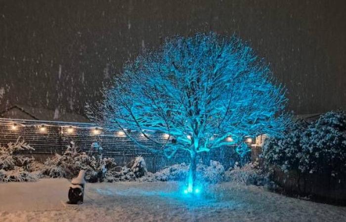 Forti nevicate colpiscono Wrexham: scuole chiuse e interruzioni di corrente