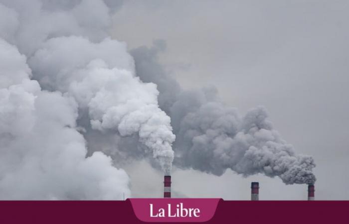 Il Belgio è in ritardo nella corsa verso la neutralità carbonica