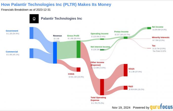 Palantir Technologies Inc (PLTR) è destinata a sottoperformare? Analizza