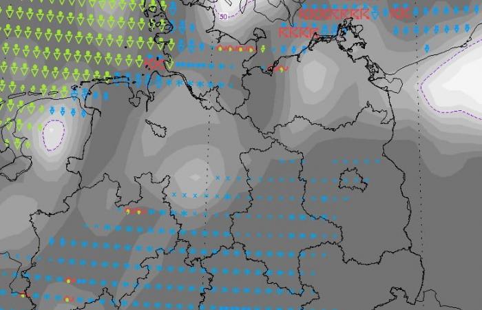 Meteo invernale: la neve colpisce la Germania settentrionale, al sud sono previsti temporali | Notizia