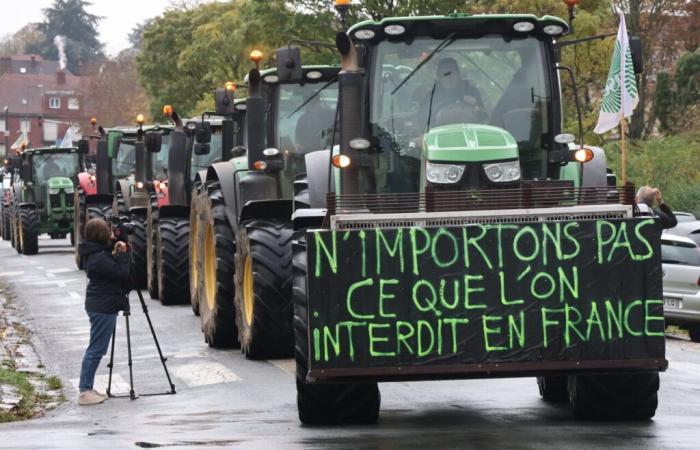 Agricoltori arrabbiati abbattono i cartelli dei villaggi e si mobilitano contro il Mercosur