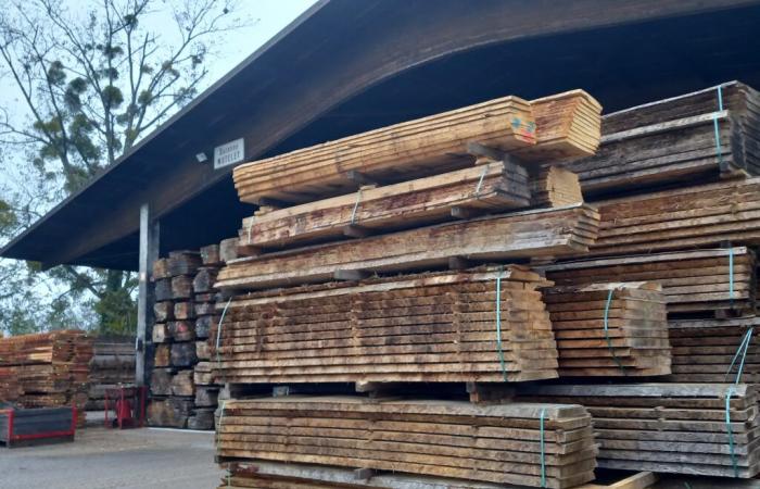 Giurò. Industria del legno nel Giura: come prepararsi al futuro di fronte al cambiamento climatico? | Giura: tutte le informazioni locali