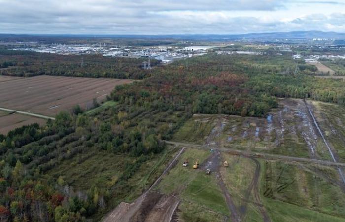 QScale ha trovato il suo operatore agricolo per le future serre