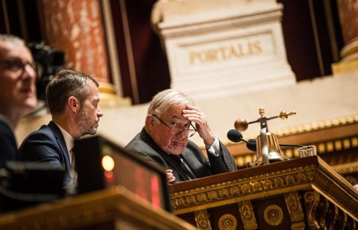 il Senato attacca pesantemente i macronisti