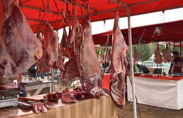 L’arrivo di spedizioni importate abbassa i prezzi della carne rossa a Casablanca