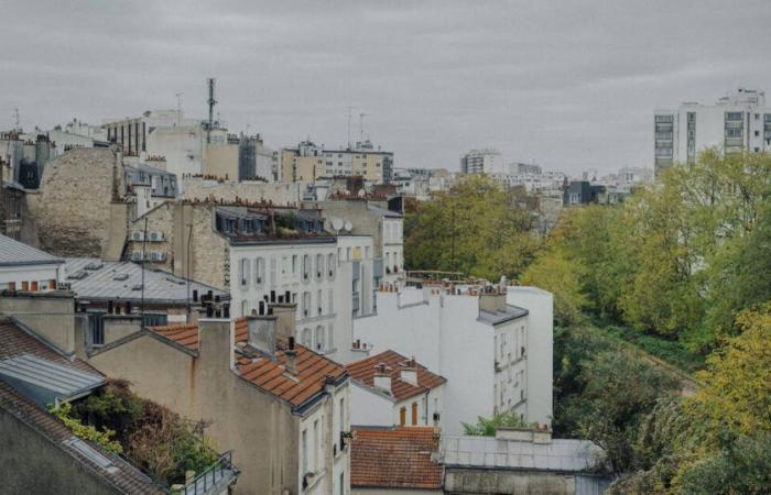 A Parigi, un nuovo piano urbanistico locale per “passare da una città con giardino a una città giardino” – Libération