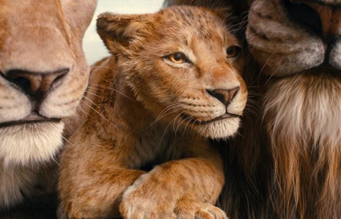 Il trailer finale di “Mufasa: Il Re Leone” presenta un’avventura epica: guardalo qui