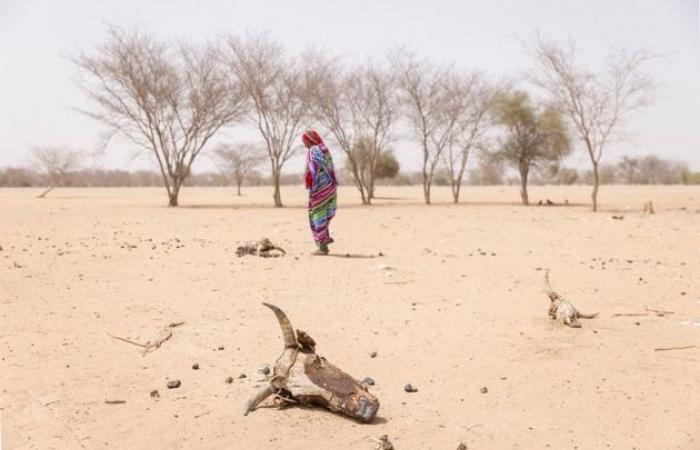 Conferenza mondiale sul clima a Baku / La Caritas chiede finanziamenti…