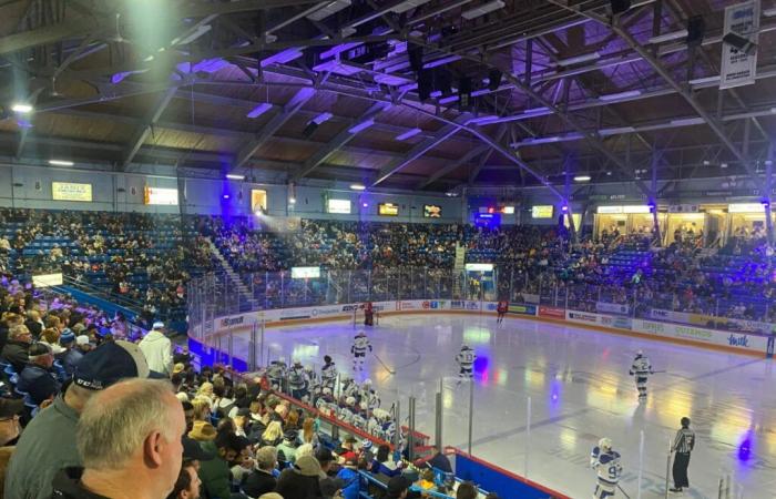 French prende il suo posto con i Sudbury Wolves