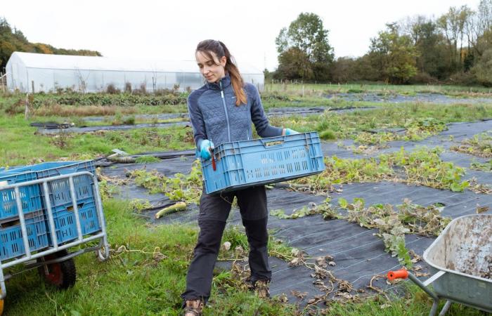 Per rafforzare l’agricoltura contadina, i volontari belgi prendono il controllo dei campi