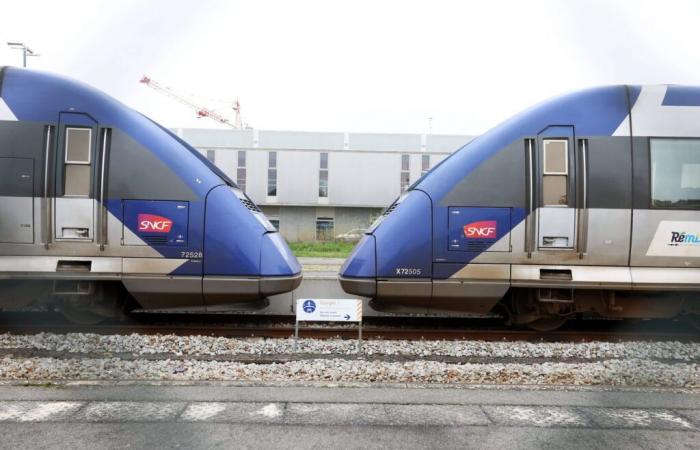 disagi al traffico su alcuni treni TER e TGV, previsti per giovedì 21 novembre