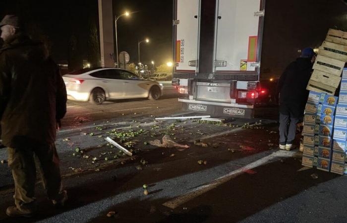 NÎMES Una prima serata di azioni di contadini arrabbiati