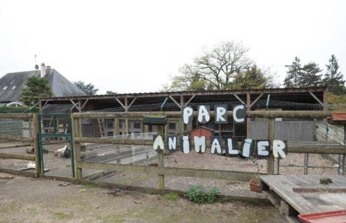 Polli, conigli… La scuola Curie ridurrà il numero di animali accolti nel suo parco della Mayenne