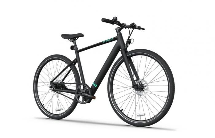 Questa eccellente bici elettrica, ultraleggera e performante, viene proposta ad un prezzo senza precedenti in occasione del Black Friday