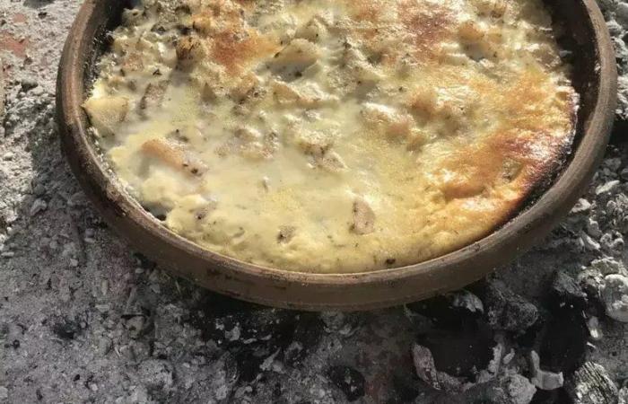 Uscire a Montpellier: zuppa di bolle, agorà della conoscenza, ipnosi… idee per questo mercoledì 20 novembre