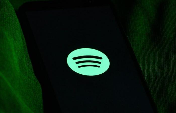 Il CEO di Spotify annuncia: sì, finalmente avrai musica di buona qualità in breve tempo