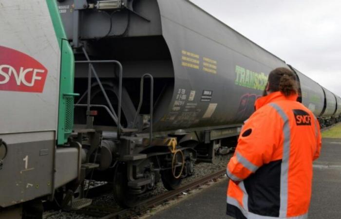 Sciopero della SNCF: il movimento per Merci SNCF ha seguito moderatamente tutto il gruppo: Attualità