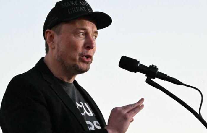 Musk vuole ridurre “radicalmente” il ruolo dello Stato federale americano