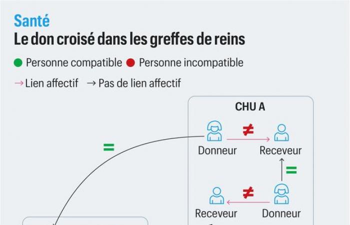 L’Ospedale Universitario di Bordeaux ha effettuato il primo trapianto di rene triplo crociato in Francia