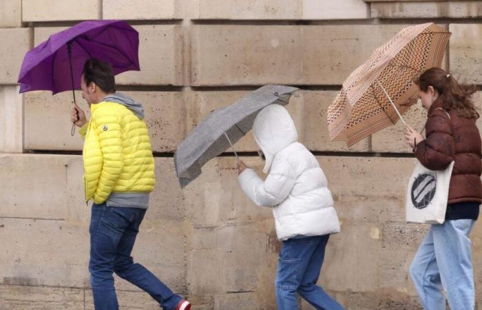 Allerta meteo: Vienne e Deux-Sèvres in allerta arancione per venti violenti