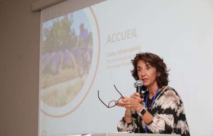 Il ciclismo e i suoi 1.962 km di ecoturismo El Dorado nel Vaucluse