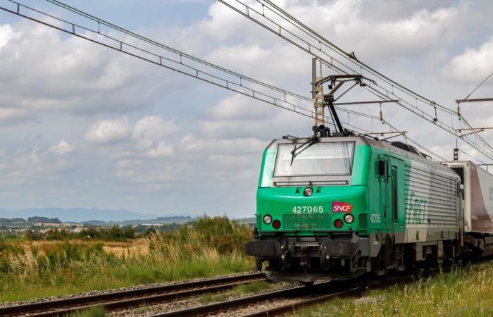 Un giovane di 21 anni è morto dopo essere stato investito da un treno a un passaggio a livello