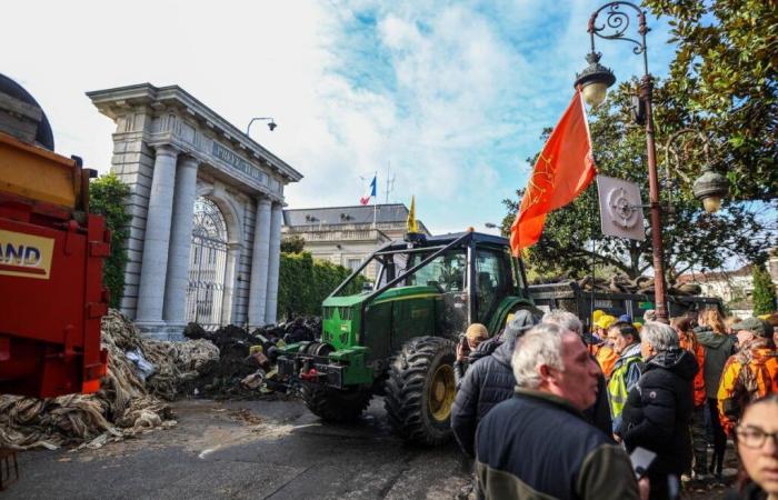 blocchi e danni “non sono accettabili”, dice il ministro dell’Agricoltura, verso un blocco dei trasporti alimentari?