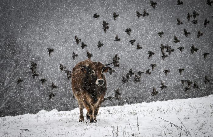 l'inverno arriva in Francia all'inizio della stagione